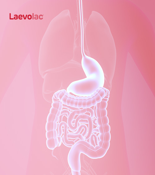 02-imagem-esquerda O que é o Trânsito Intestinal?